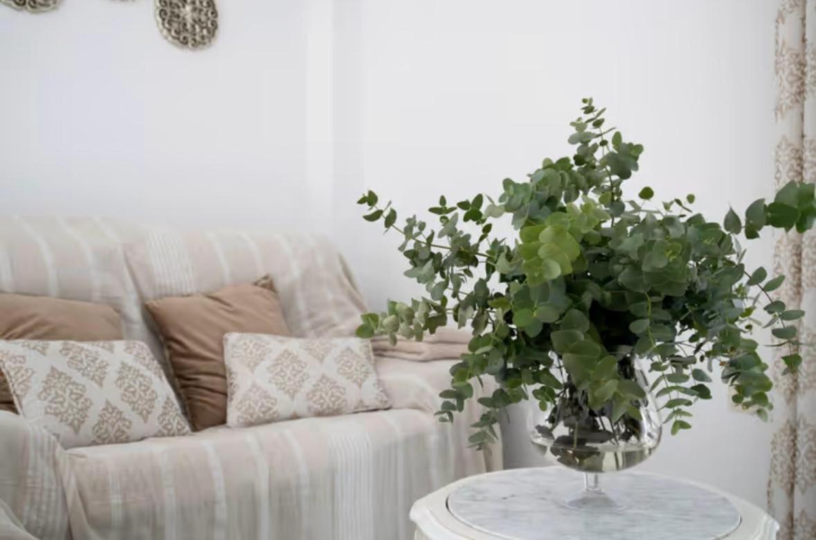 Apartamento Cataleya Ronda Exteriér fotografie
